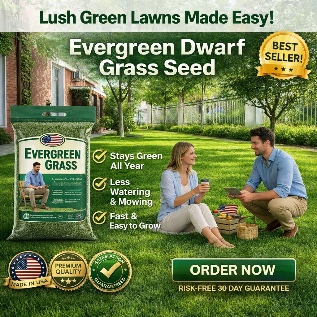 /6a19561e0370d20009e81d96/2026/05/29/product-img-6a195c9391ef3d0d28f6322d.png