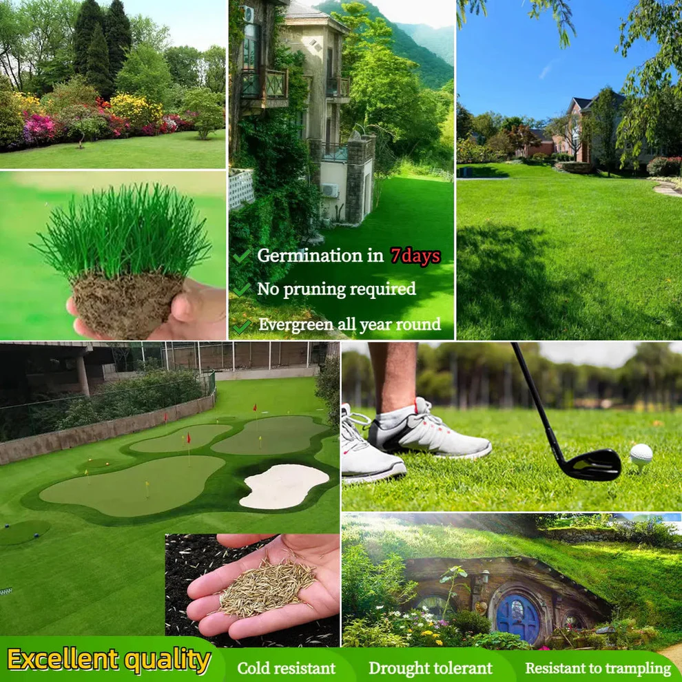 /6a19561e0370d20009e81d96/2026/05/29/product-img-6a195c9391ef3d0d28f6322f.png
